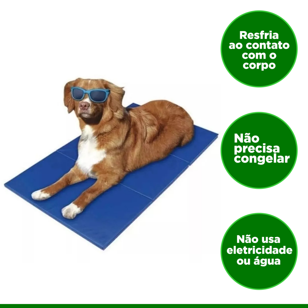 Imagem Adicional do Produto