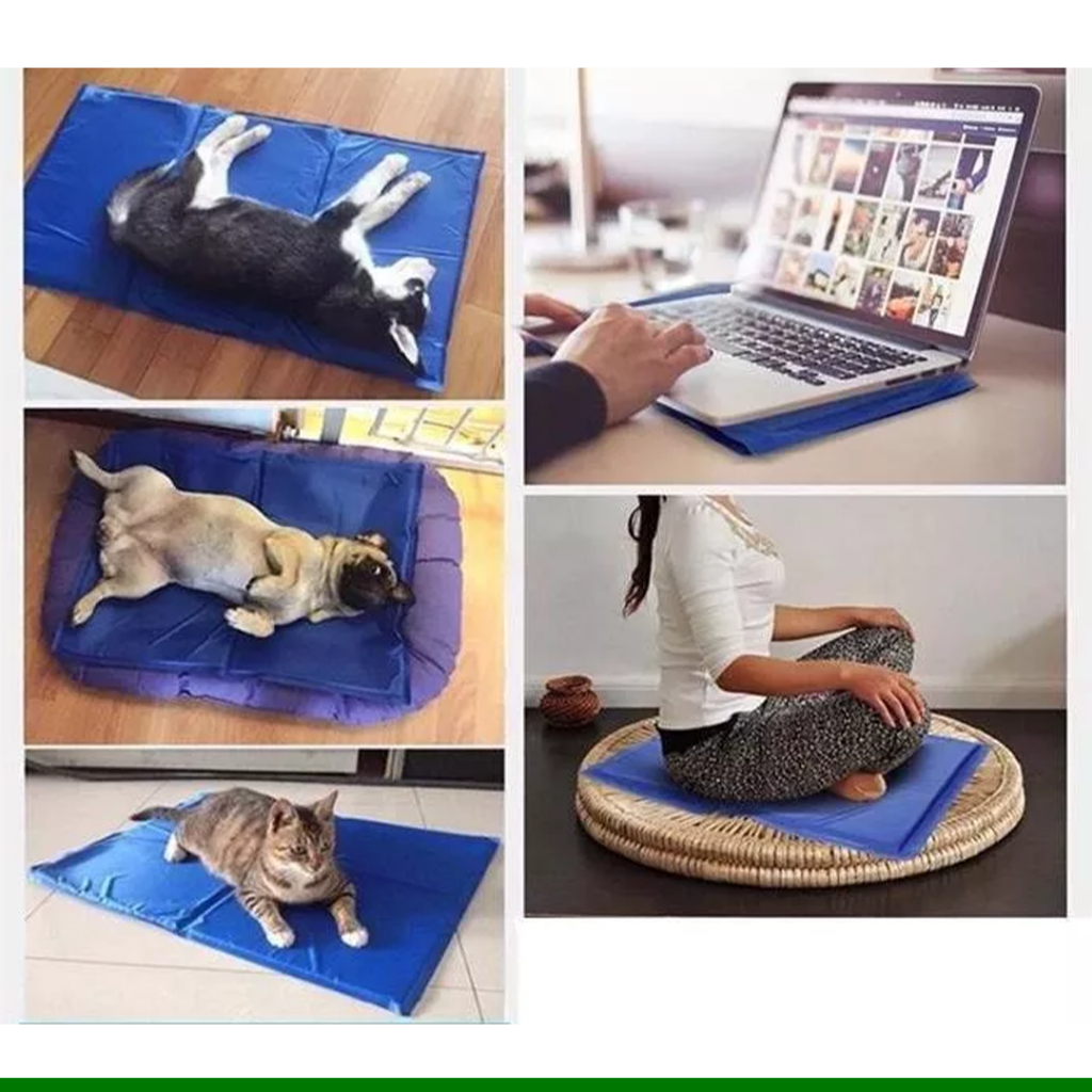 Imagem Adicional do Produto