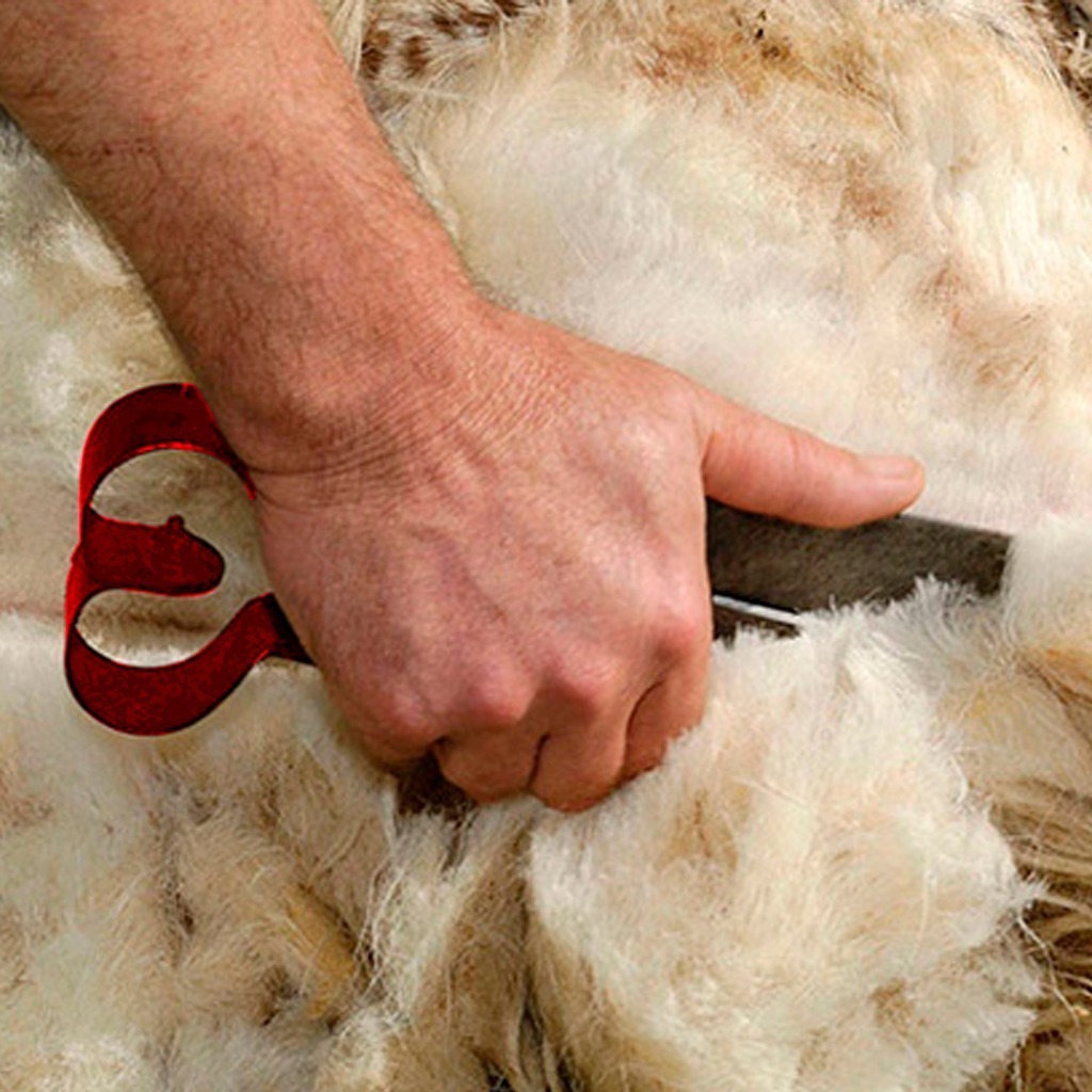 Imagem Adicional do Produto
