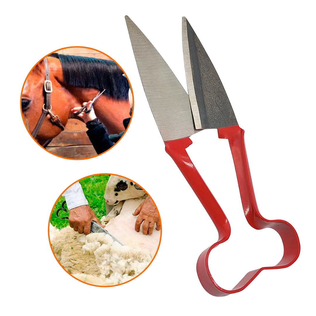 Imagem Adicional do Produto