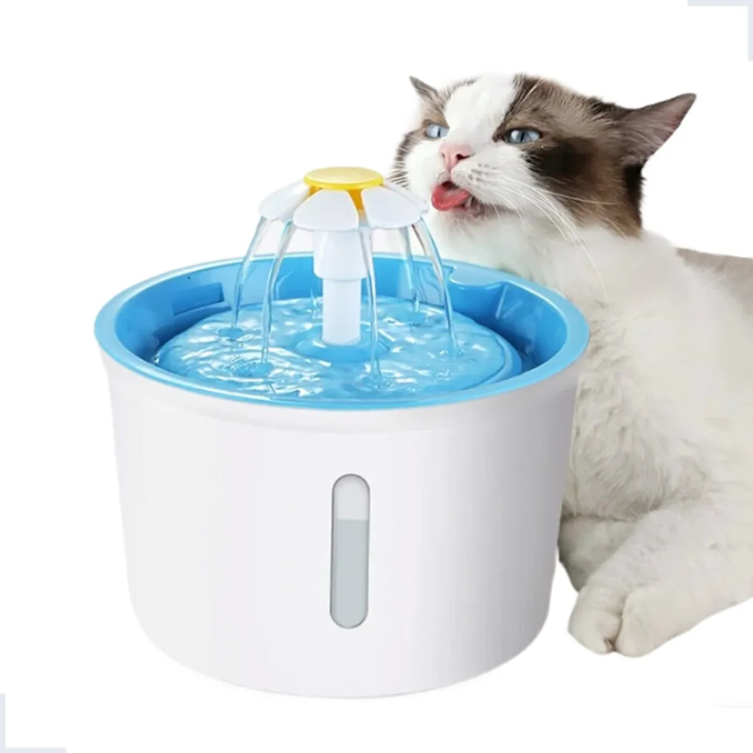 Imagem Adicional do Produto
