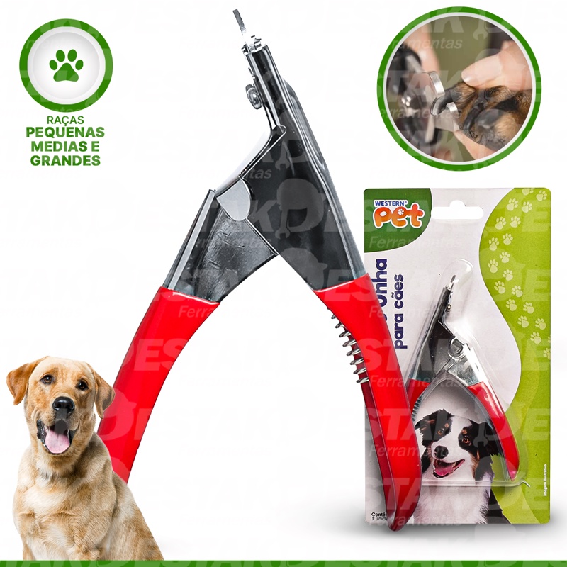 Imagem do Produto Principal