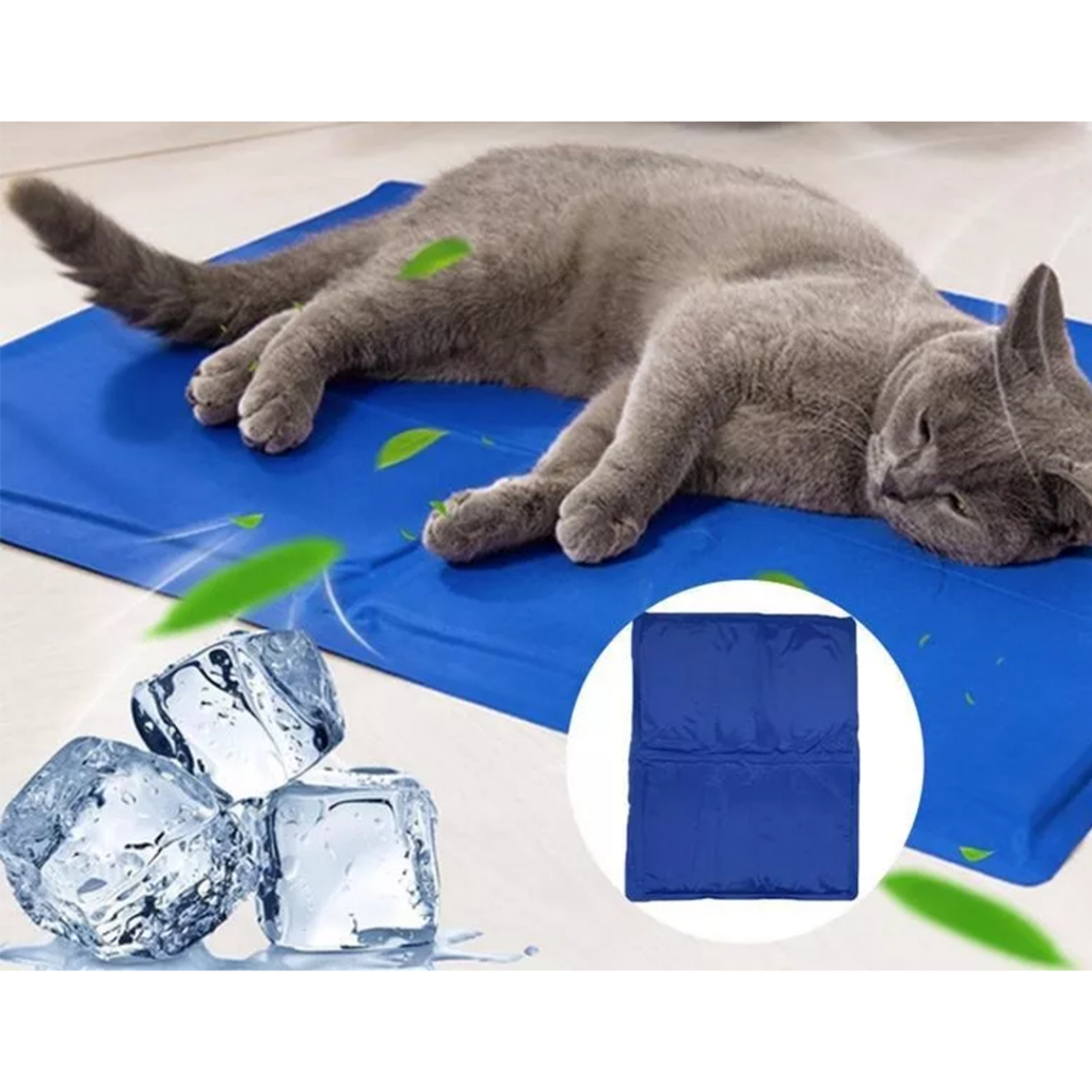 Imagem do Produto Principal