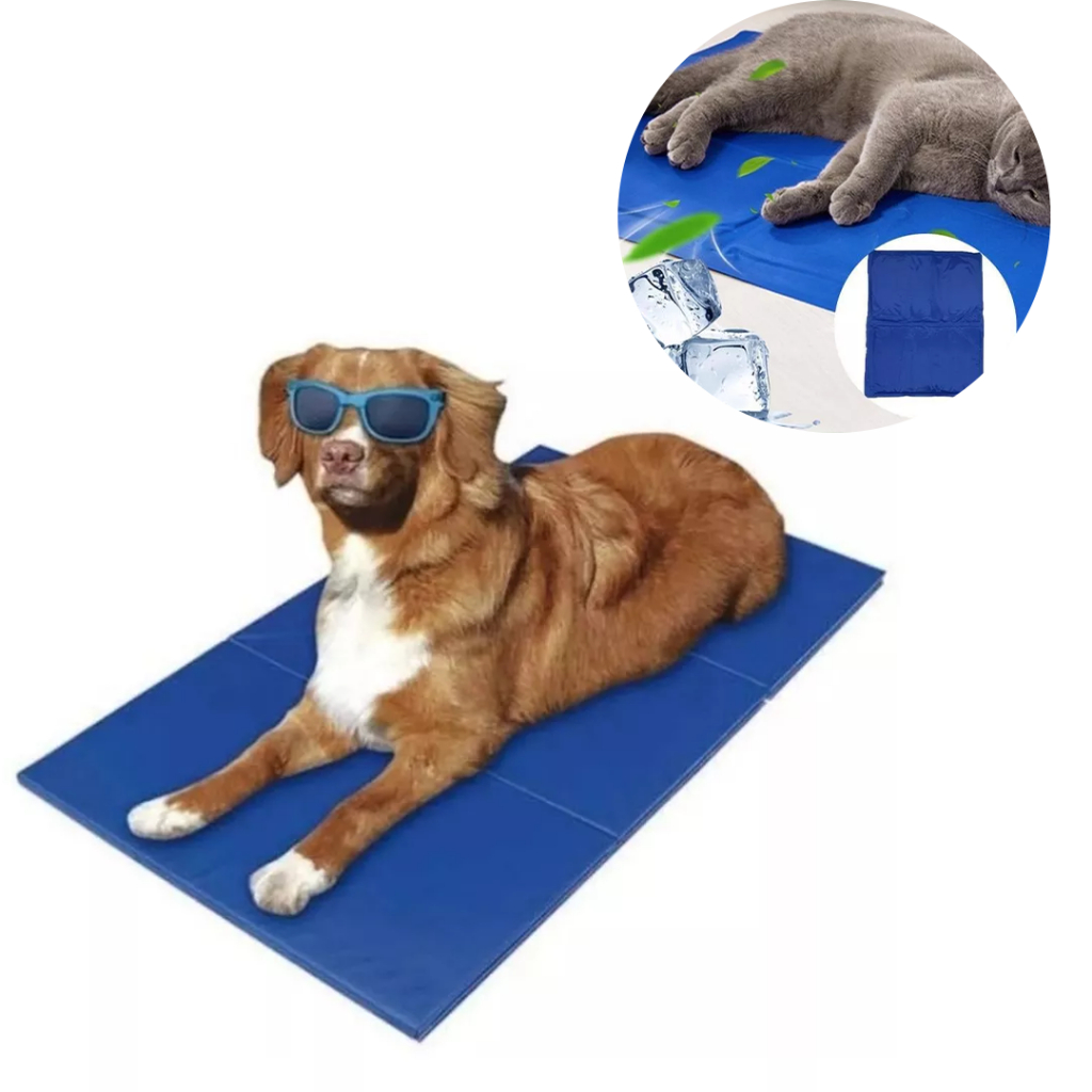 Imagem do Produto Principal