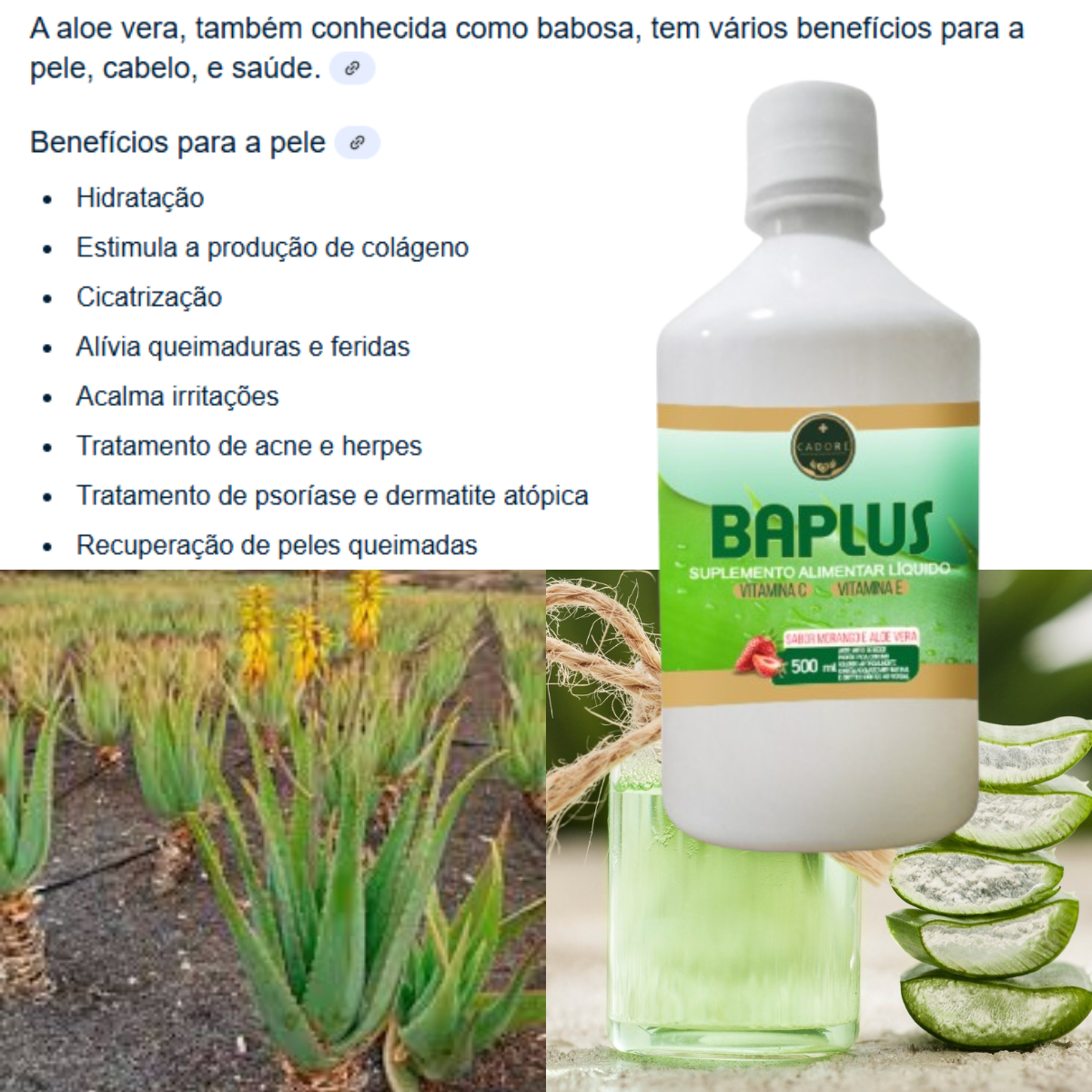 Imagem Adicional do Produto