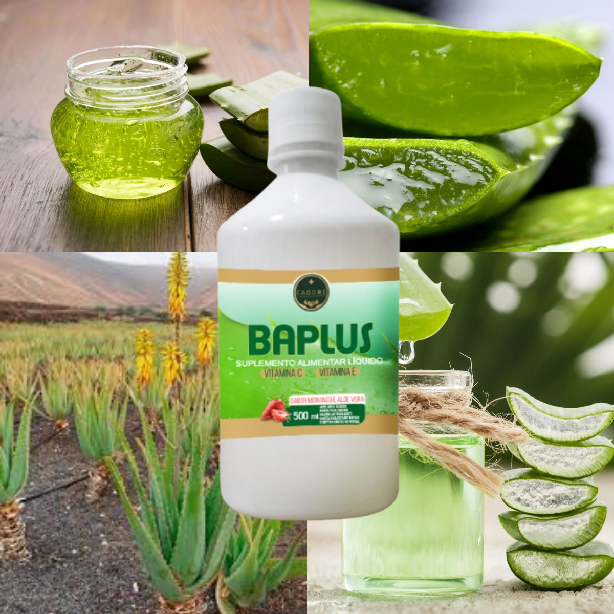 Imagem Adicional do Produto