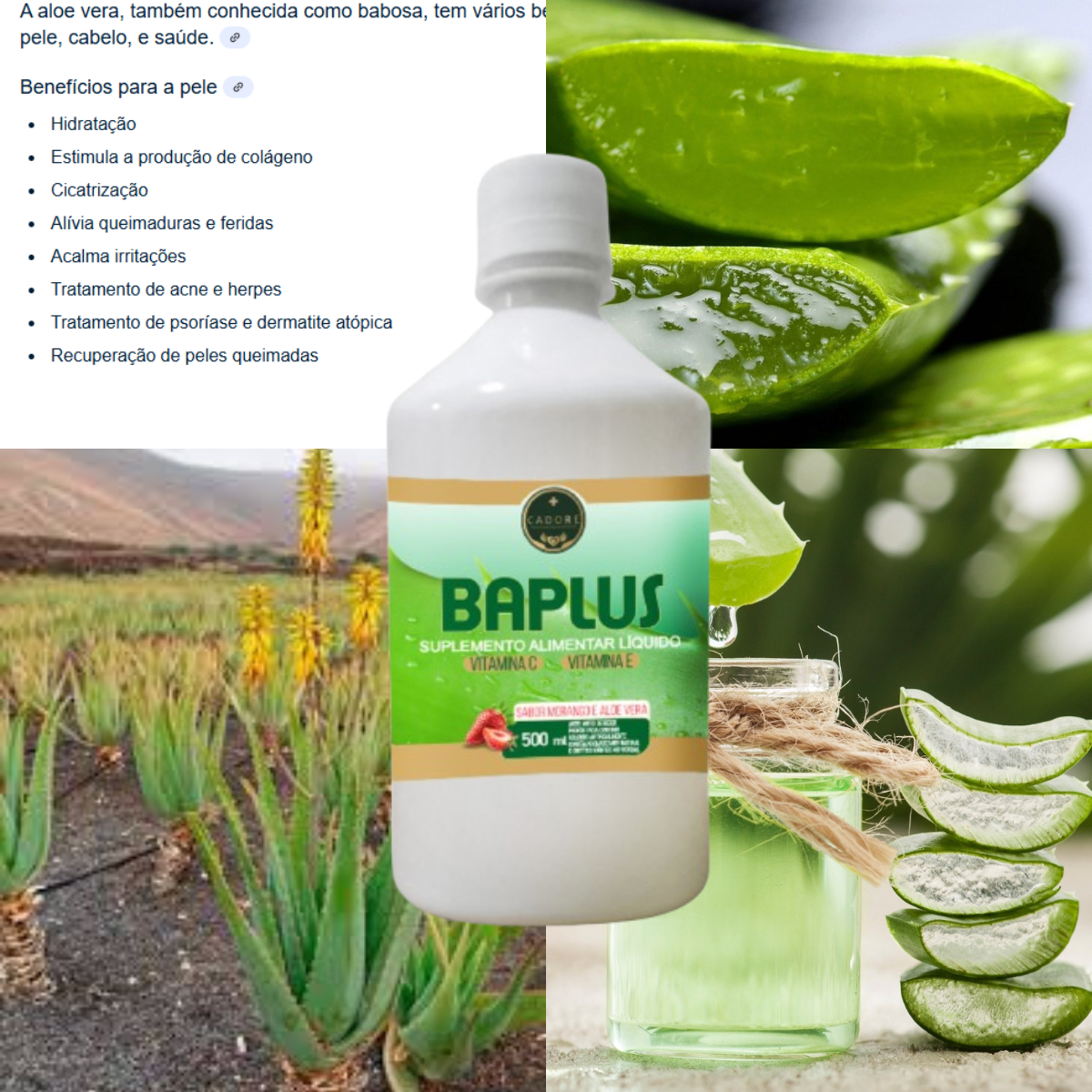 Imagem Adicional do Produto
