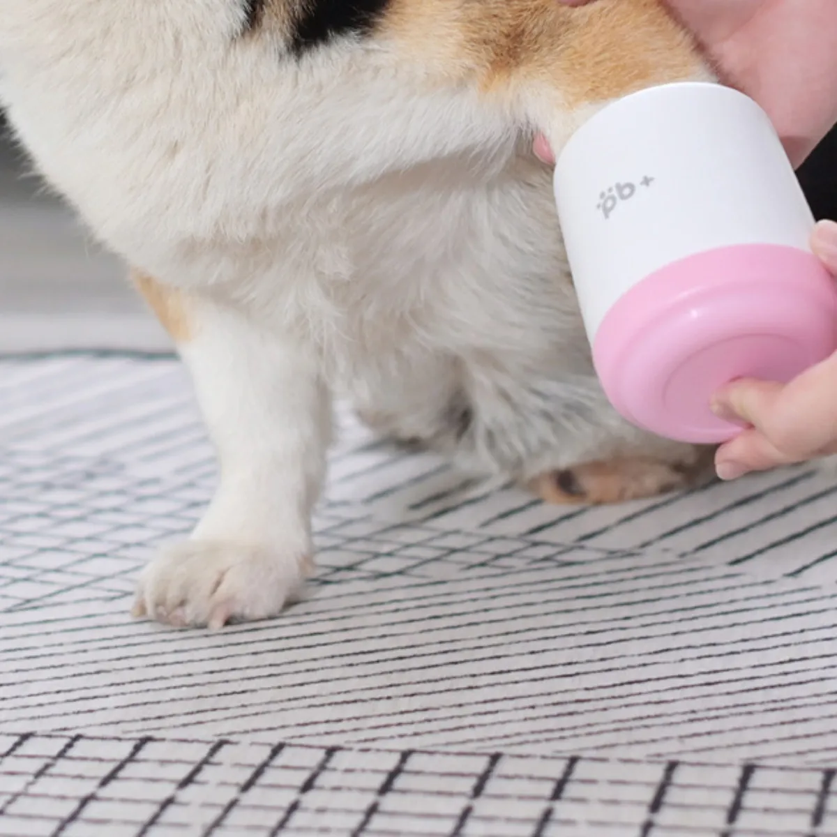 Imagem Adicional do Produto