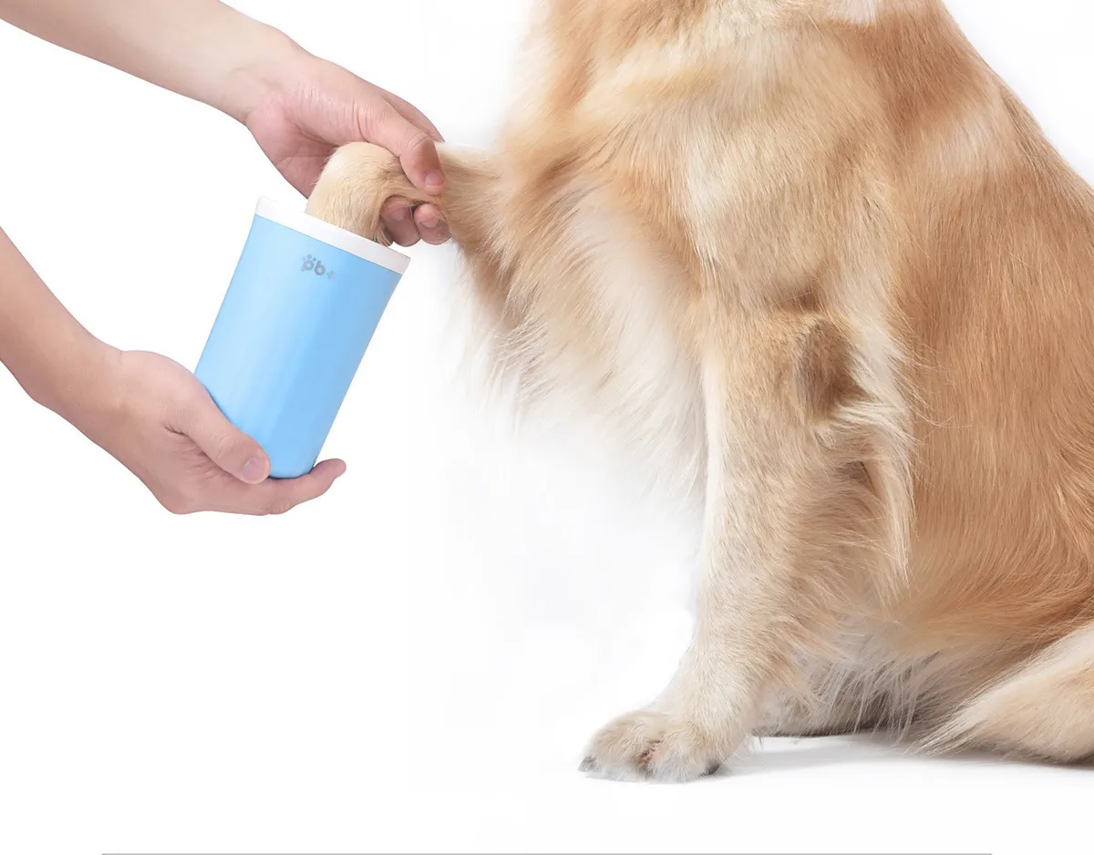 Imagem Adicional do Produto