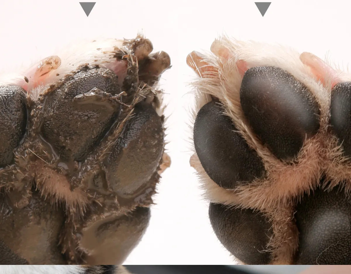 Imagem Adicional do Produto