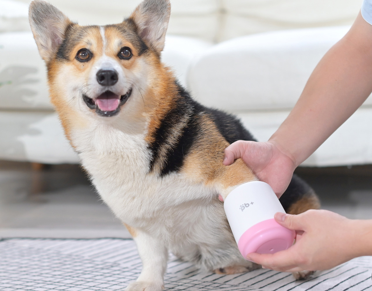 Imagem Adicional do Produto